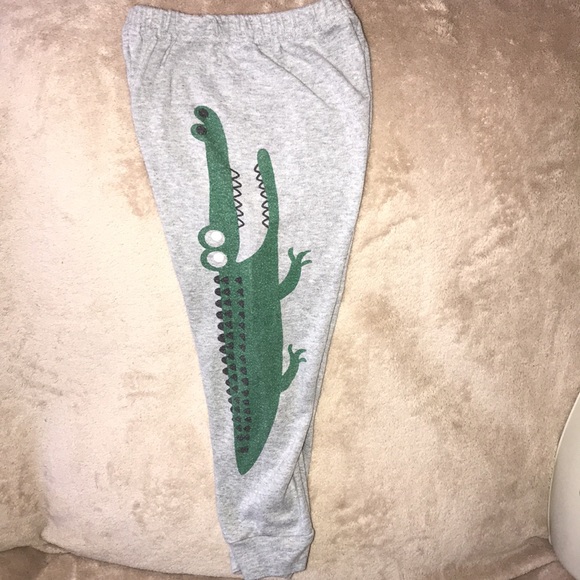 Schmoopy 5years grey/green 🐊 sweats - Picture 1 of 5